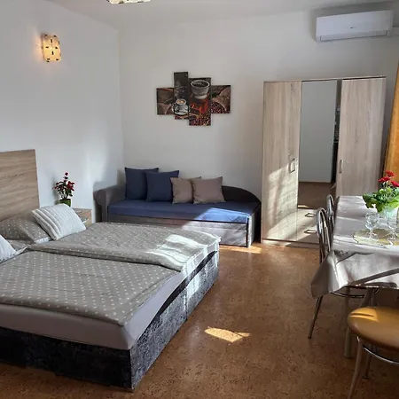 Apartmanovy Dom Grand בית אירוח