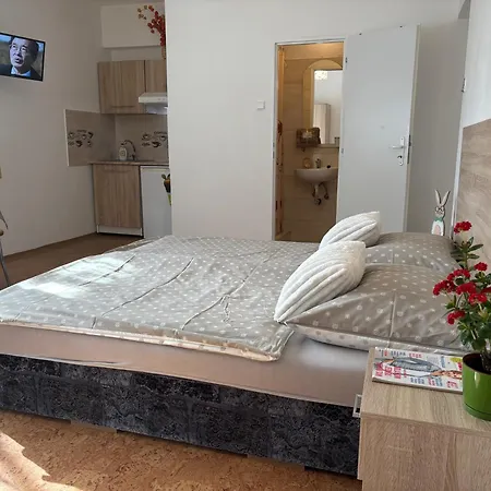 Apartmanovy Dom Grand