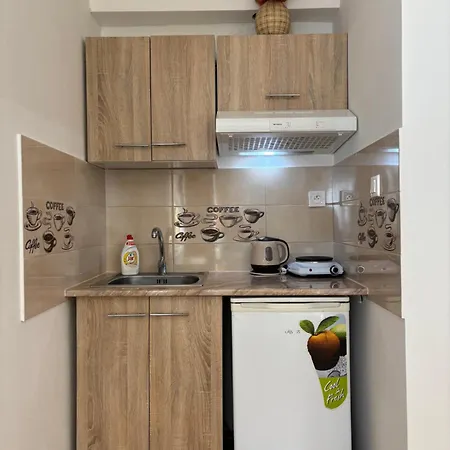 Apartmanovy Dom Grand בית אירוח