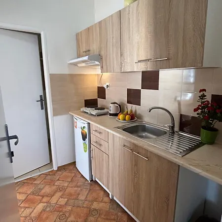 Apartmanovy Dom Grand בית אירוח *