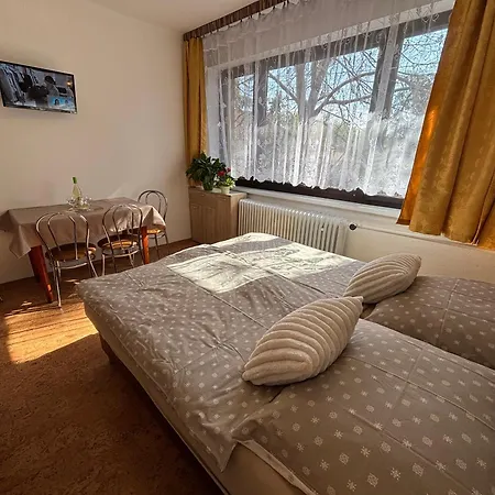 Apartmanovy Dom Grand בית אירוח