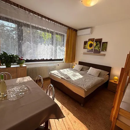 Apartmanovy Dom Grand בית אירוח