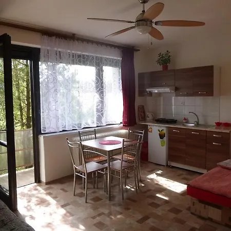 Apartmanovy Dom Grand בית אירוח *